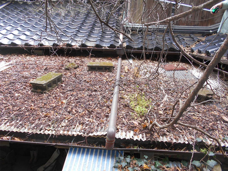 北面の屋根!!<山が近いので落葉で一杯です>