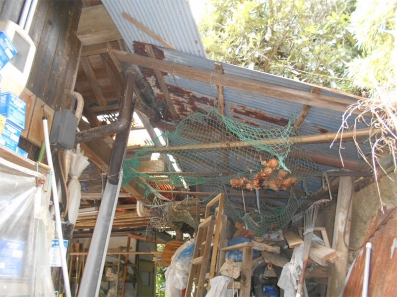 東面を下から見る!!<下地の状態が悪いです >