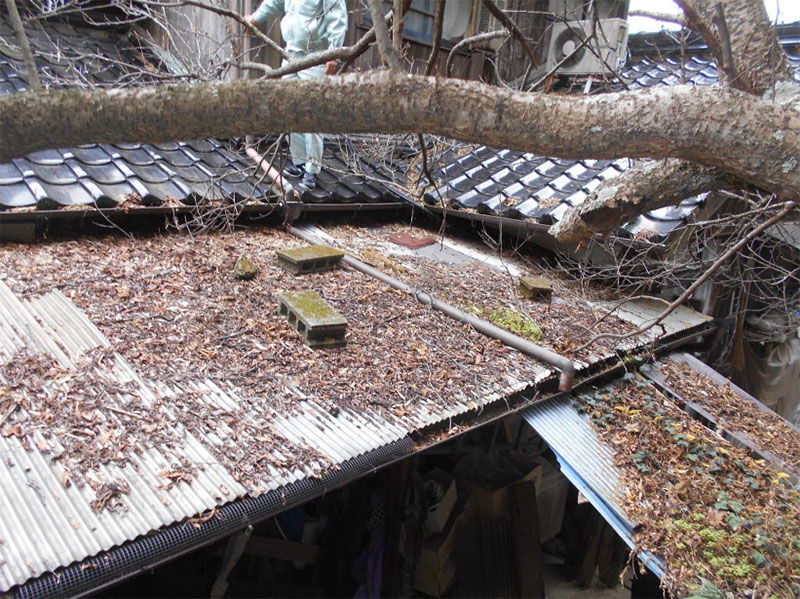 ビフォー!!(北面)